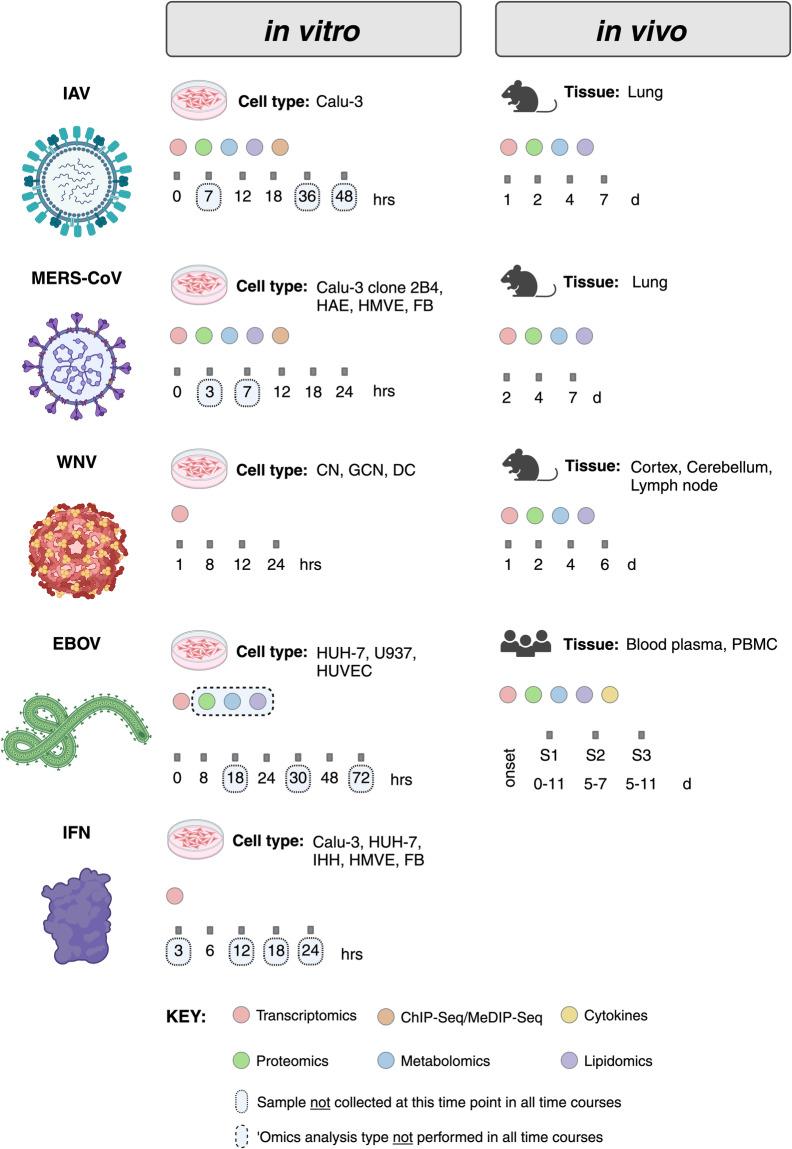 https://cdn.ncbi.nlm.nih.gov/pmc/blobs/5db9/10987564/72477b7d5990/41597_2024_3124_Fig3_HTML.jpg