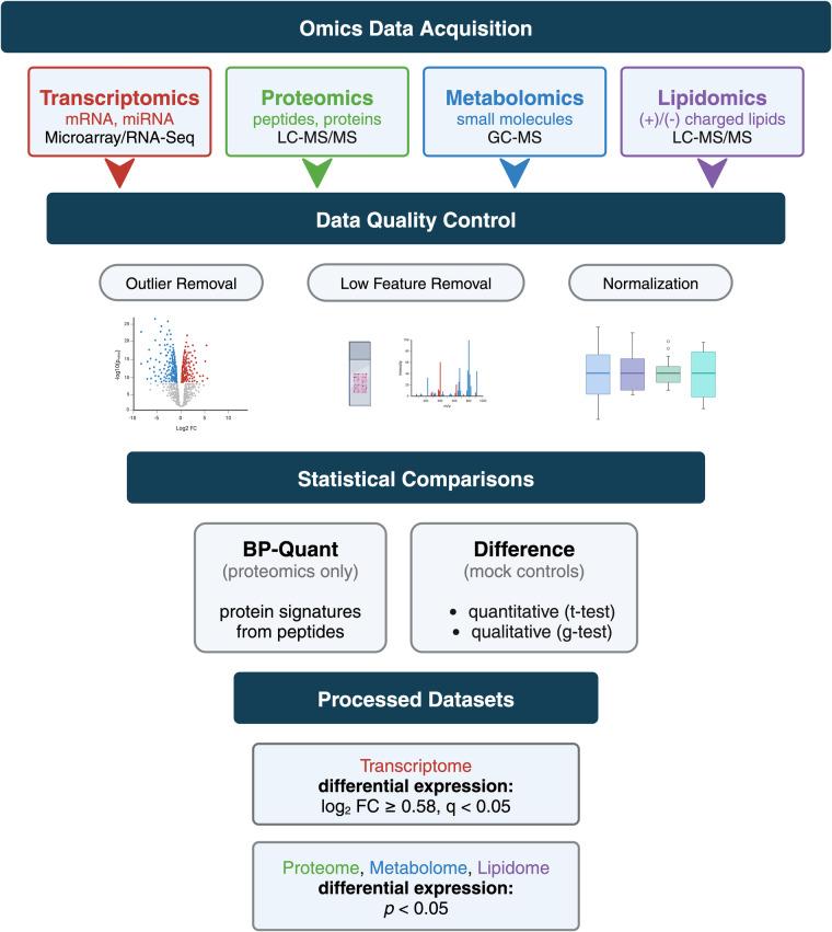 https://cdn.ncbi.nlm.nih.gov/pmc/blobs/5db9/10987564/b3d3ed5a14b4/41597_2024_3124_Fig6_HTML.jpg