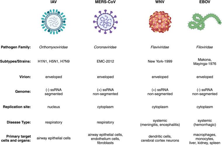 https://cdn.ncbi.nlm.nih.gov/pmc/blobs/5db9/10987564/d97806f3e283/41597_2024_3124_Fig2_HTML.jpg