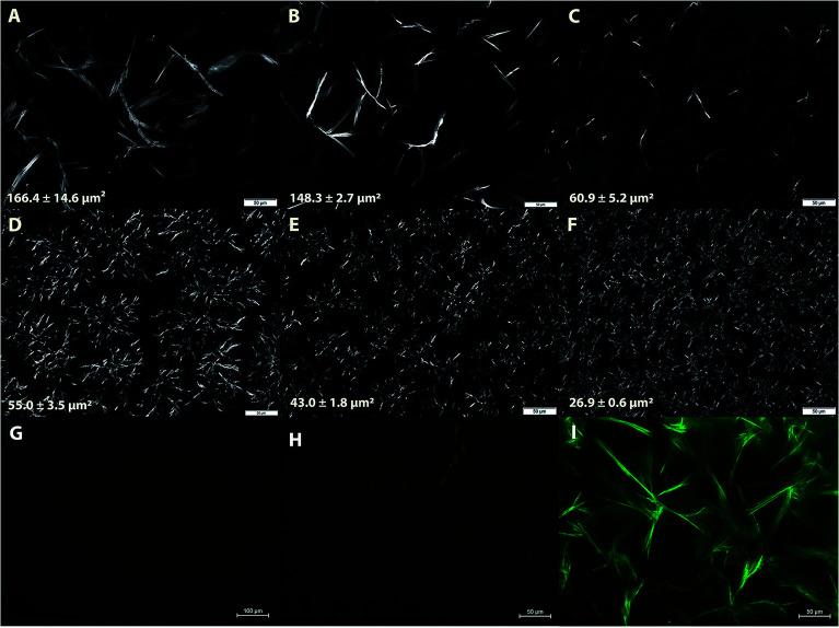 https://cdn.ncbi.nlm.nih.gov/pmc/blobs/5db9/9048806/293d0dcbb89e/c9ra07820g-f3.jpg