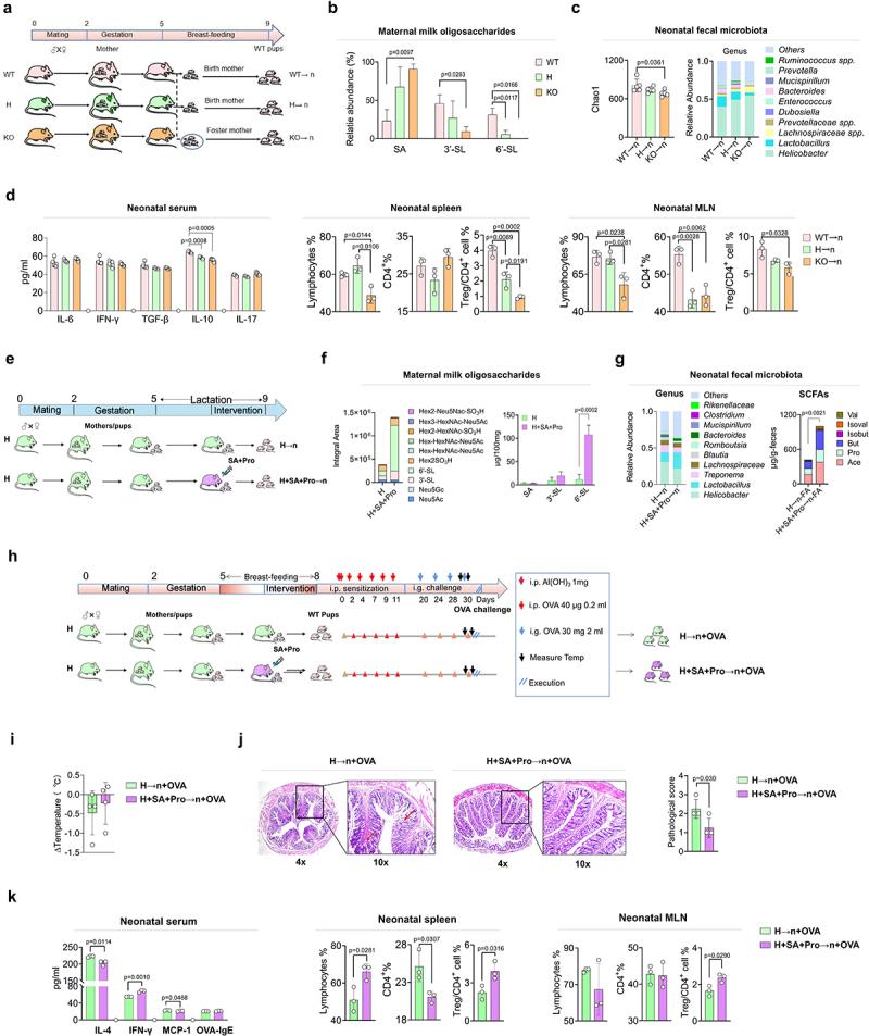 https://cdn.ncbi.nlm.nih.gov/pmc/blobs/5dba/11028031/7e78e676eb67/KGMI_A_2334967_F0002_OC.jpg