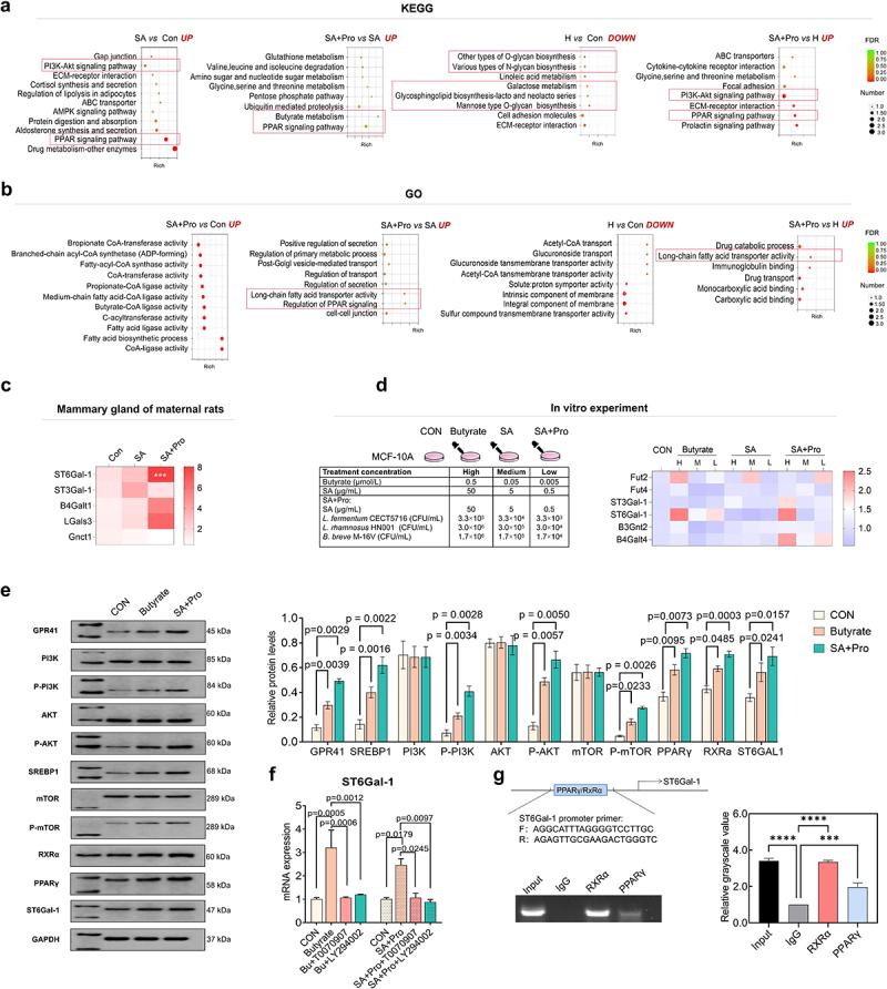 https://cdn.ncbi.nlm.nih.gov/pmc/blobs/5dba/11028031/d99cdbe71f57/KGMI_A_2334967_F0003_OC.jpg