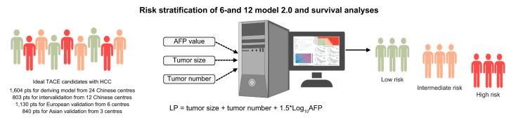 https://cdn.ncbi.nlm.nih.gov/pmc/blobs/5dba/11699734/7517ad0559aa/ga1.jpg