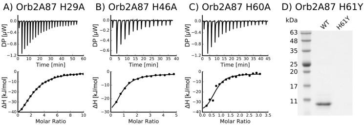 https://cdn.ncbi.nlm.nih.gov/pmc/blobs/5dbc/5618238/a1a020ea36a8/biomolecules-07-00057-g004.jpg