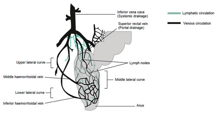 https://cdn.ncbi.nlm.nih.gov/pmc/blobs/5dbc/8197127/670cdb8b8aef/ijms-22-05500-g001.jpg