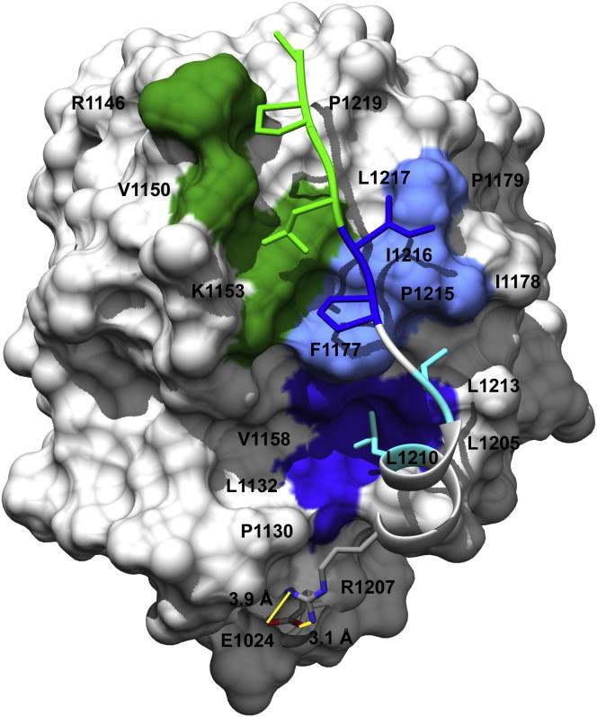 https://cdn.ncbi.nlm.nih.gov/pmc/blobs/5dbd/3919171/1c2f2b464d5e/gr3.jpg
