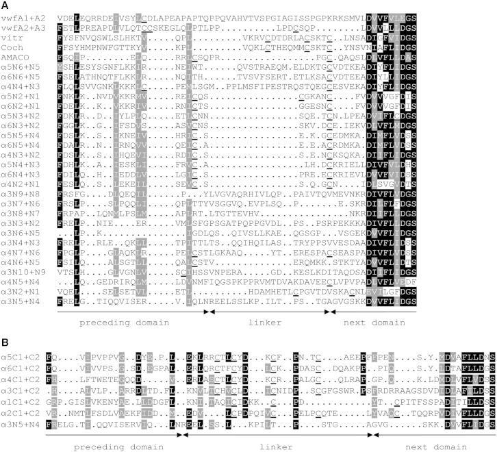 https://cdn.ncbi.nlm.nih.gov/pmc/blobs/5dbd/3919171/4c81d2013af3/gr4.jpg