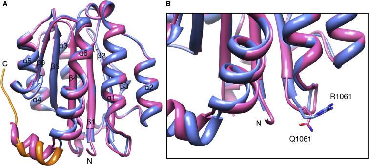 https://cdn.ncbi.nlm.nih.gov/pmc/blobs/5dbd/3919171/c21ebb3cd6d8/gr5.jpg