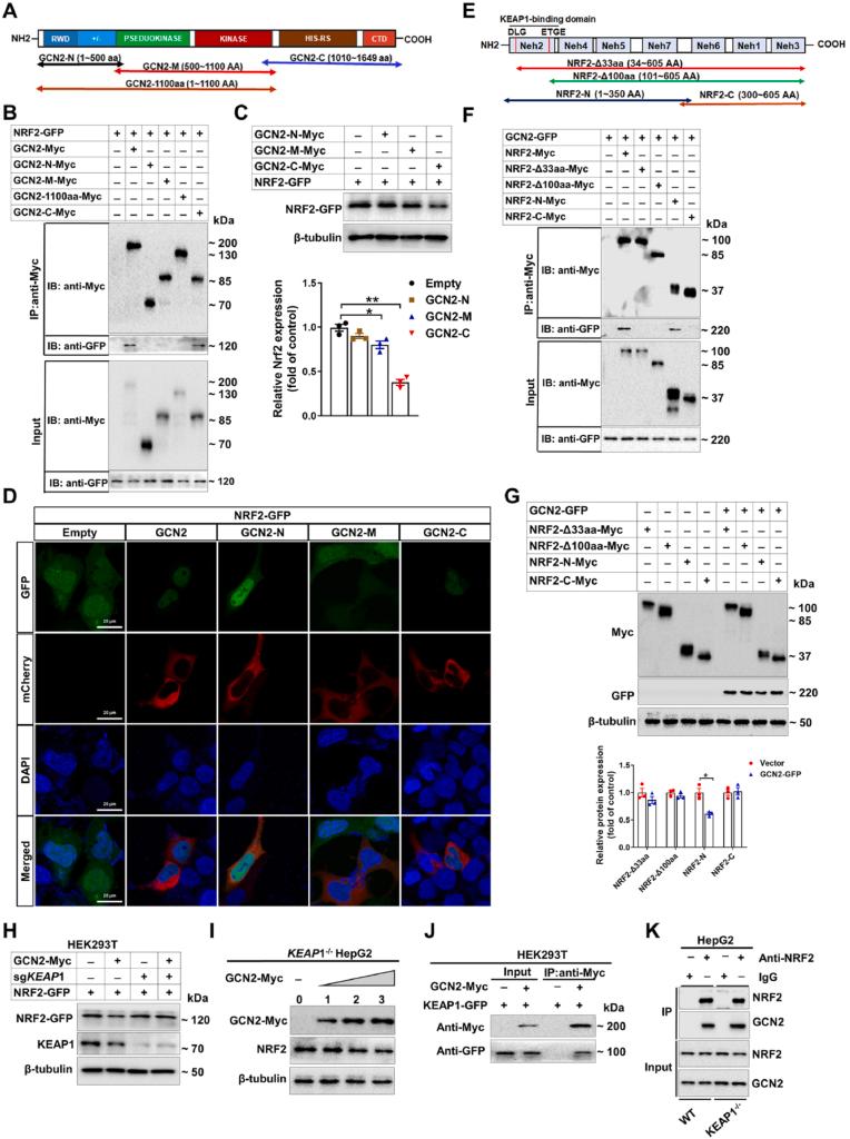https://cdn.ncbi.nlm.nih.gov/pmc/blobs/5dc2/8718669/273e678c1cd5/gr2.jpg