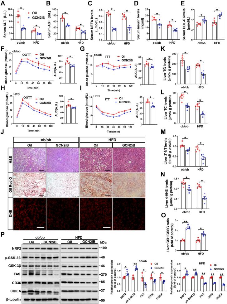 https://cdn.ncbi.nlm.nih.gov/pmc/blobs/5dc2/8718669/50723c46064c/gr6.jpg