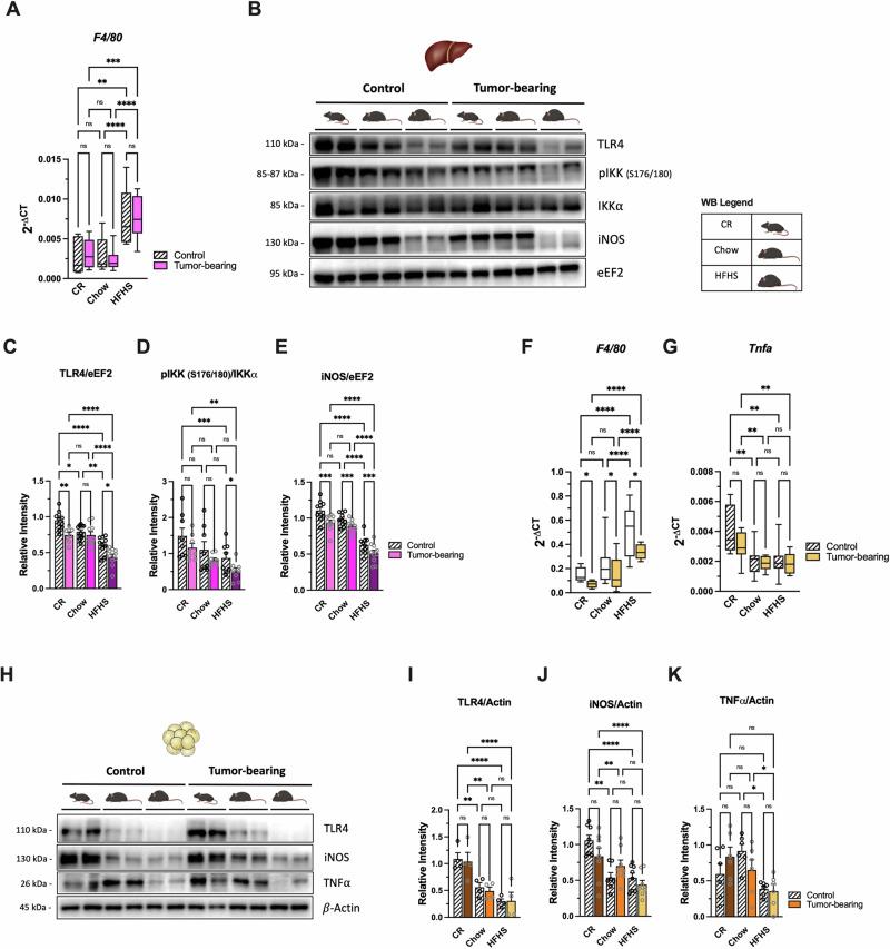 https://cdn.ncbi.nlm.nih.gov/pmc/blobs/5dc4/11707351/3c7c8092b3fe/42003_2025_7451_Fig5_HTML.jpg