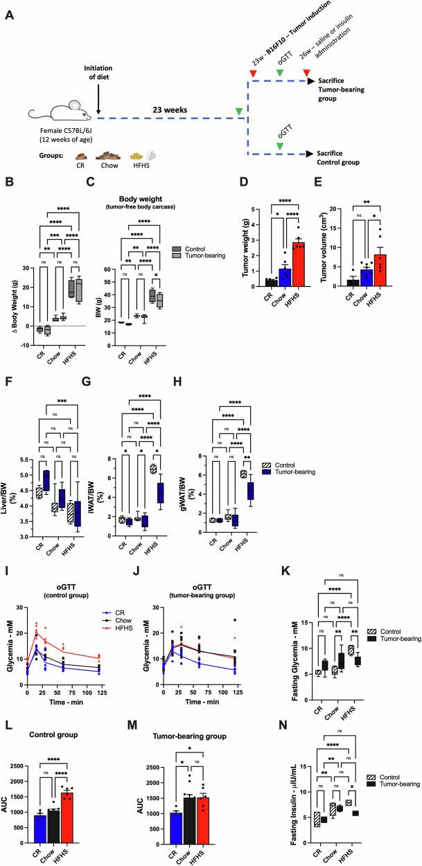 https://cdn.ncbi.nlm.nih.gov/pmc/blobs/5dc4/11707351/42e30ab60db8/42003_2025_7451_Fig1_HTML.jpg