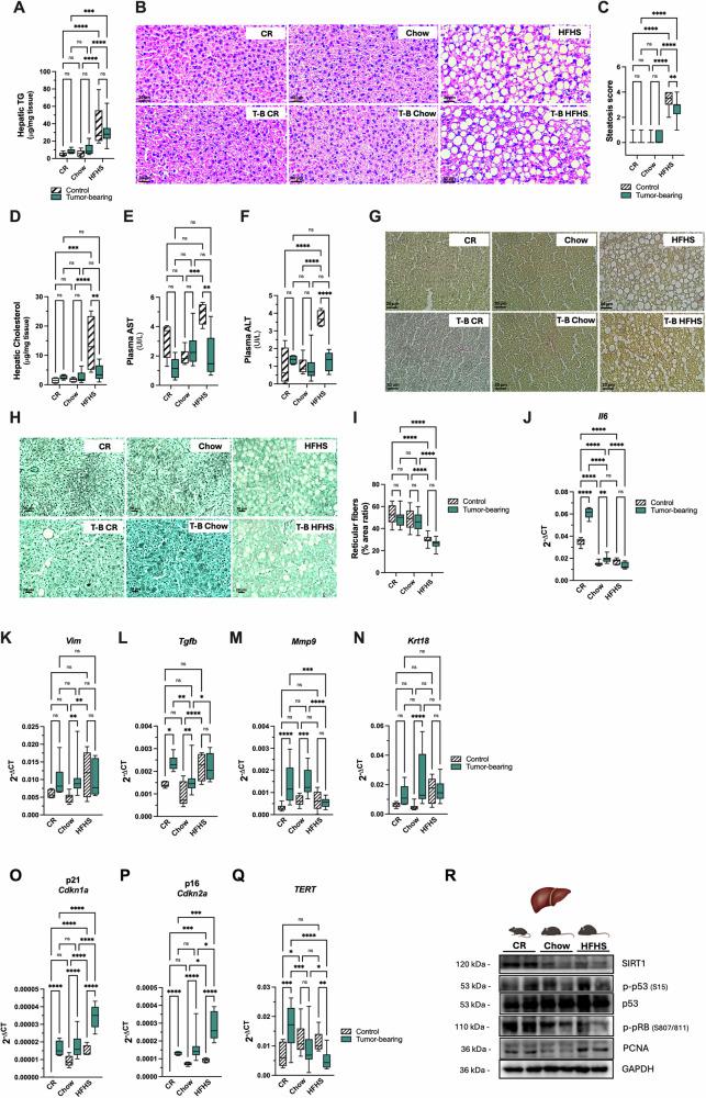 https://cdn.ncbi.nlm.nih.gov/pmc/blobs/5dc4/11707351/90920a82aceb/42003_2025_7451_Fig3_HTML.jpg