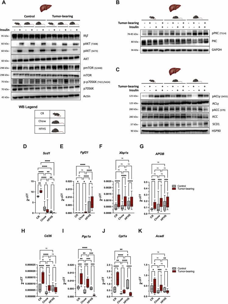 https://cdn.ncbi.nlm.nih.gov/pmc/blobs/5dc4/11707351/e0ae31d25214/42003_2025_7451_Fig4_HTML.jpg