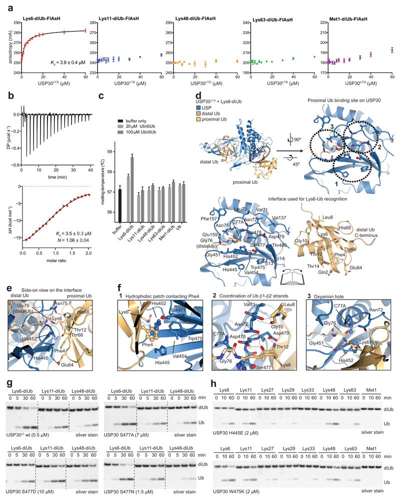 https://cdn.ncbi.nlm.nih.gov/pmc/blobs/5dc5/5757785/0ecba0e6b595/emss-75368-f003.jpg