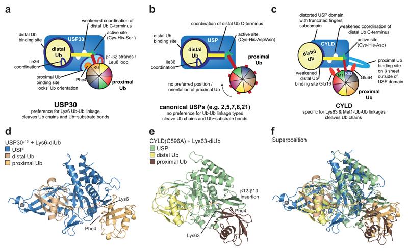 https://cdn.ncbi.nlm.nih.gov/pmc/blobs/5dc5/5757785/30d56fdf3245/emss-75368-f004.jpg