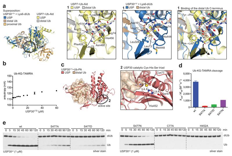 https://cdn.ncbi.nlm.nih.gov/pmc/blobs/5dc5/5757785/325e8b1c7b13/emss-75368-f002.jpg