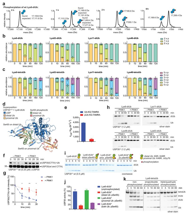 https://cdn.ncbi.nlm.nih.gov/pmc/blobs/5dc5/5757785/53b455cfdce0/emss-75368-f006.jpg