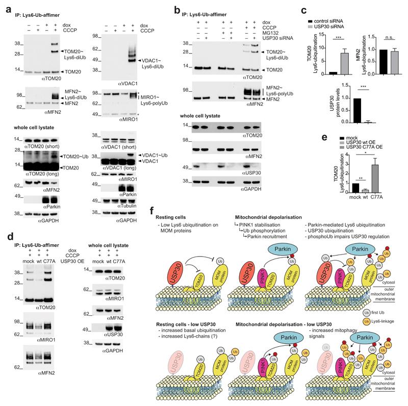 https://cdn.ncbi.nlm.nih.gov/pmc/blobs/5dc5/5757785/871a702d10b0/emss-75368-f007.jpg