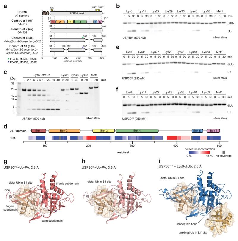 https://cdn.ncbi.nlm.nih.gov/pmc/blobs/5dc5/5757785/d932d5fe047b/emss-75368-f001.jpg