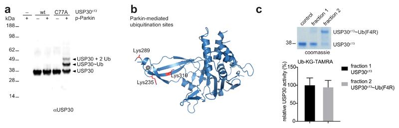https://cdn.ncbi.nlm.nih.gov/pmc/blobs/5dc5/5757785/fed15b3a0965/emss-75368-f005.jpg