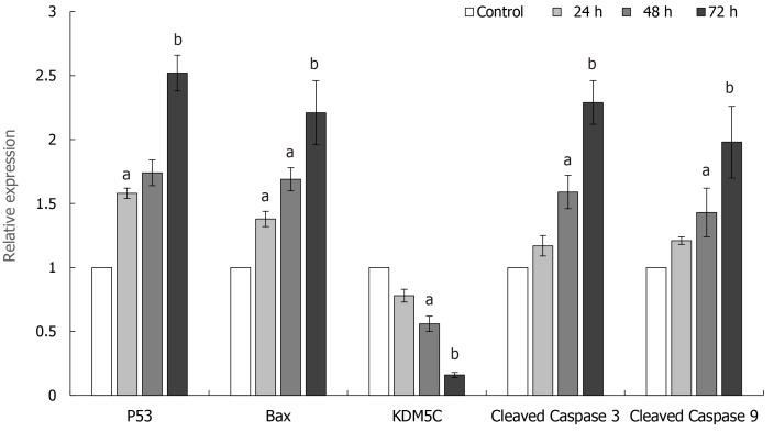 https://cdn.ncbi.nlm.nih.gov/pmc/blobs/5dc5/8072195/7b530dcffa2a/WJG-27-1805-g006.jpg
