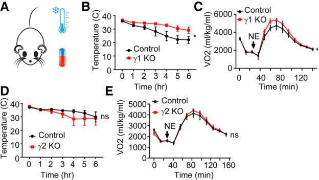 https://cdn.ncbi.nlm.nih.gov/pmc/blobs/5dc7/8973844/cb8d967de57e/300f05.jpg