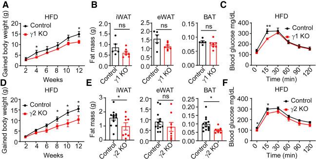 https://cdn.ncbi.nlm.nih.gov/pmc/blobs/5dc7/8973844/cdf958c0ee81/300f06.jpg