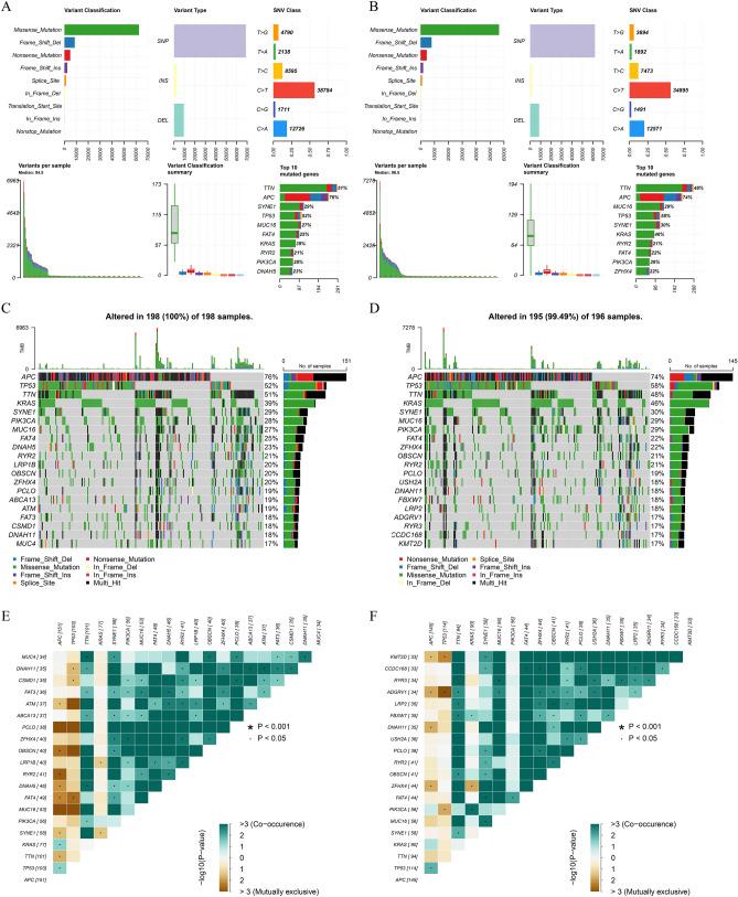 https://cdn.ncbi.nlm.nih.gov/pmc/blobs/5dc9/11169531/316af0de81c5/41598_2024_64308_Fig4_HTML.jpg