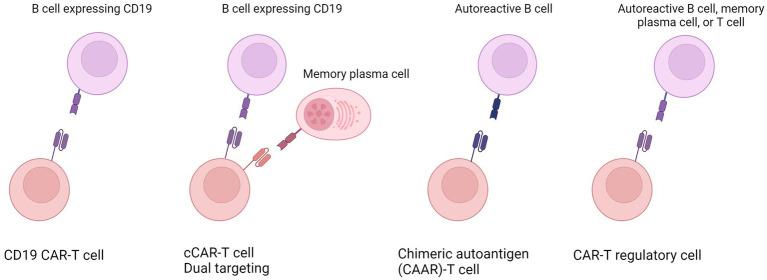 https://cdn.ncbi.nlm.nih.gov/pmc/blobs/5dca/11500465/2c41e351edd1/fmed-11-1447147-g001.jpg