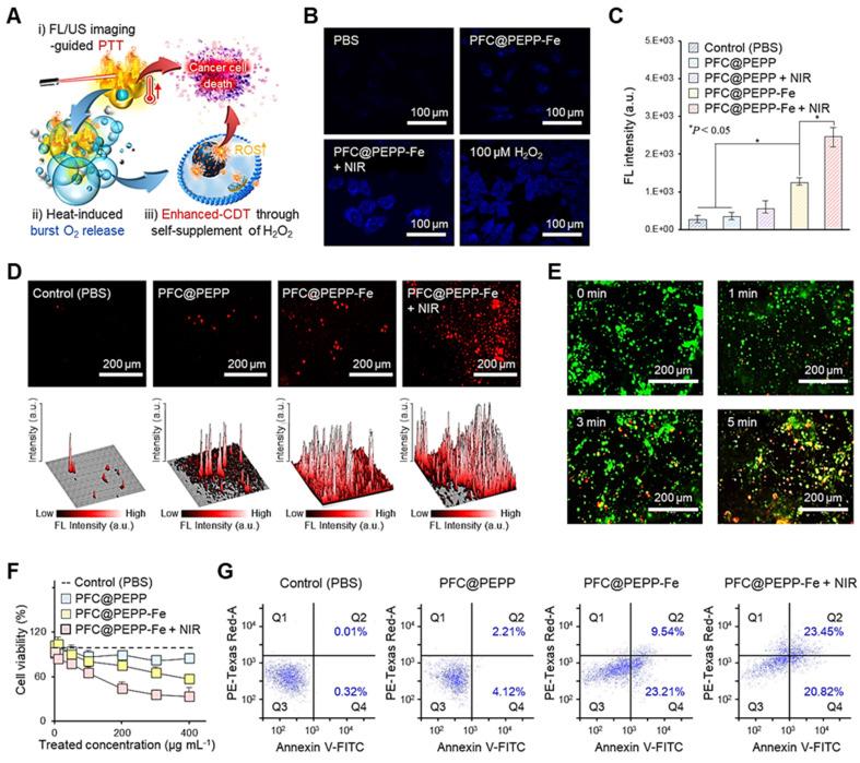 https://cdn.ncbi.nlm.nih.gov/pmc/blobs/5dcd/11700858/9de33f84e46e/thnov15p1077g006.jpg