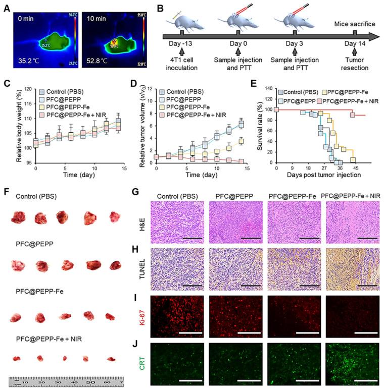 https://cdn.ncbi.nlm.nih.gov/pmc/blobs/5dcd/11700858/cc1cee702001/thnov15p1077g008.jpg