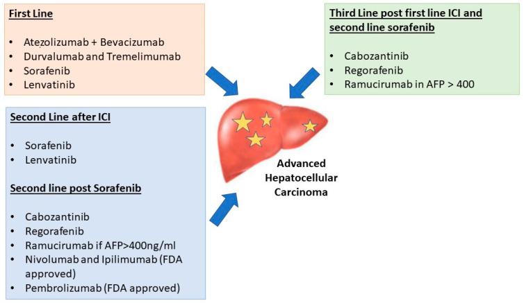 https://cdn.ncbi.nlm.nih.gov/pmc/blobs/5dce/10529518/8e233da34ed8/curroncol-30-00628-g001.jpg