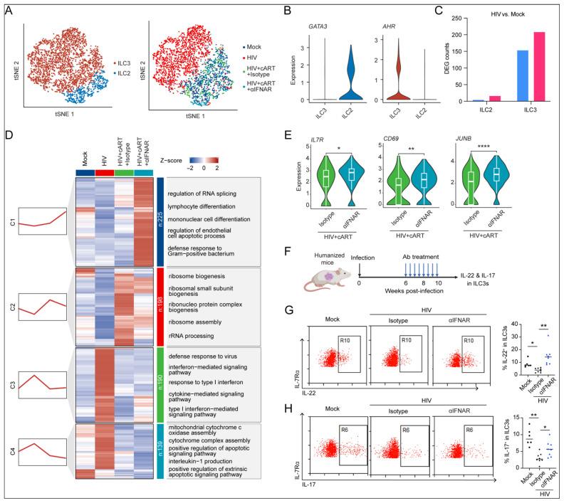 https://cdn.ncbi.nlm.nih.gov/pmc/blobs/5dd2/12390710/06fc9cb37652/viruses-17-01099-g005.jpg
