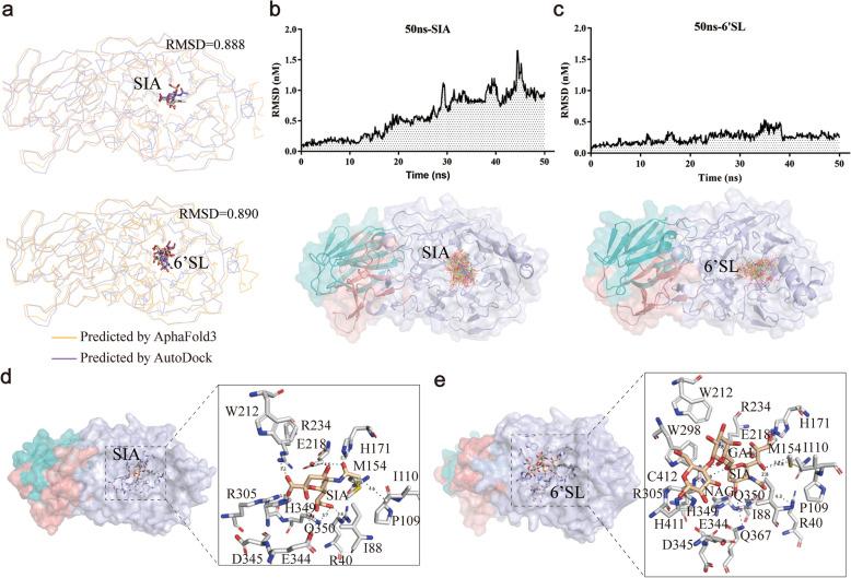 https://cdn.ncbi.nlm.nih.gov/pmc/blobs/5dd5/12018670/2fa582102c04/43556_2025_265_Fig6_HTML.jpg