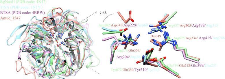 https://cdn.ncbi.nlm.nih.gov/pmc/blobs/5dd5/12018670/77721cd85a5d/43556_2025_265_Fig5_HTML.jpg