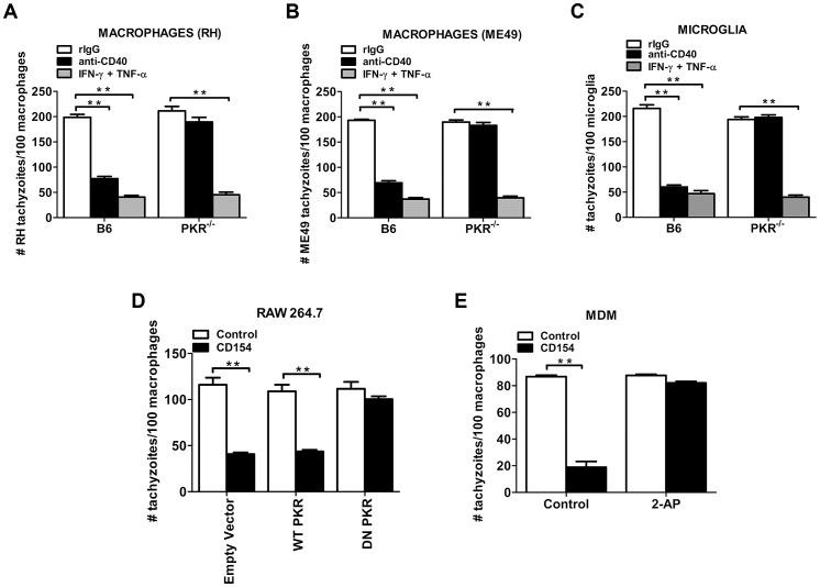 https://cdn.ncbi.nlm.nih.gov/pmc/blobs/5dd5/3749959/0f34202213a9/ppat.1003557.g006.jpg