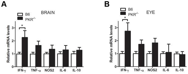 https://cdn.ncbi.nlm.nih.gov/pmc/blobs/5dd5/3749959/84267abbbb46/ppat.1003557.g004.jpg
