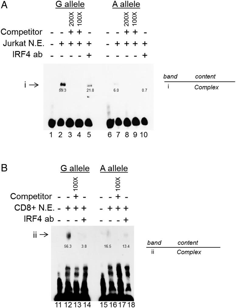 https://cdn.ncbi.nlm.nih.gov/pmc/blobs/5dd5/4975853/032fabf7b961/annrheumdis-2015-207490f02.jpg