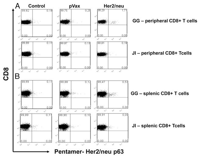 https://cdn.ncbi.nlm.nih.gov/pmc/blobs/5dd6/3525609/f12a4e44dad2/onci-1-1537-g3.jpg