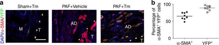 https://cdn.ncbi.nlm.nih.gov/pmc/blobs/5dd7/10167238/486d8f34a890/41413_2023_252_Fig8_HTML.jpg