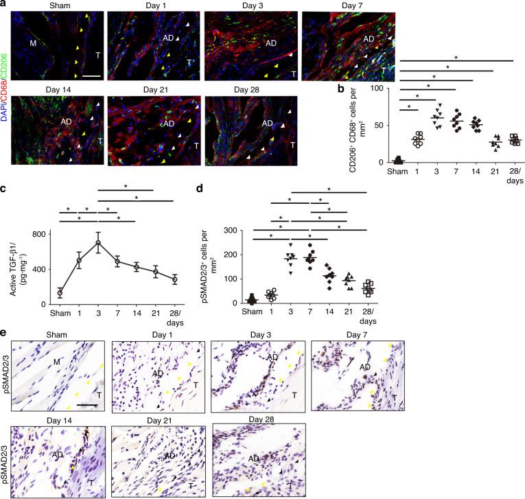https://cdn.ncbi.nlm.nih.gov/pmc/blobs/5dd7/10167238/5cfb140d8008/41413_2023_252_Fig4_HTML.jpg