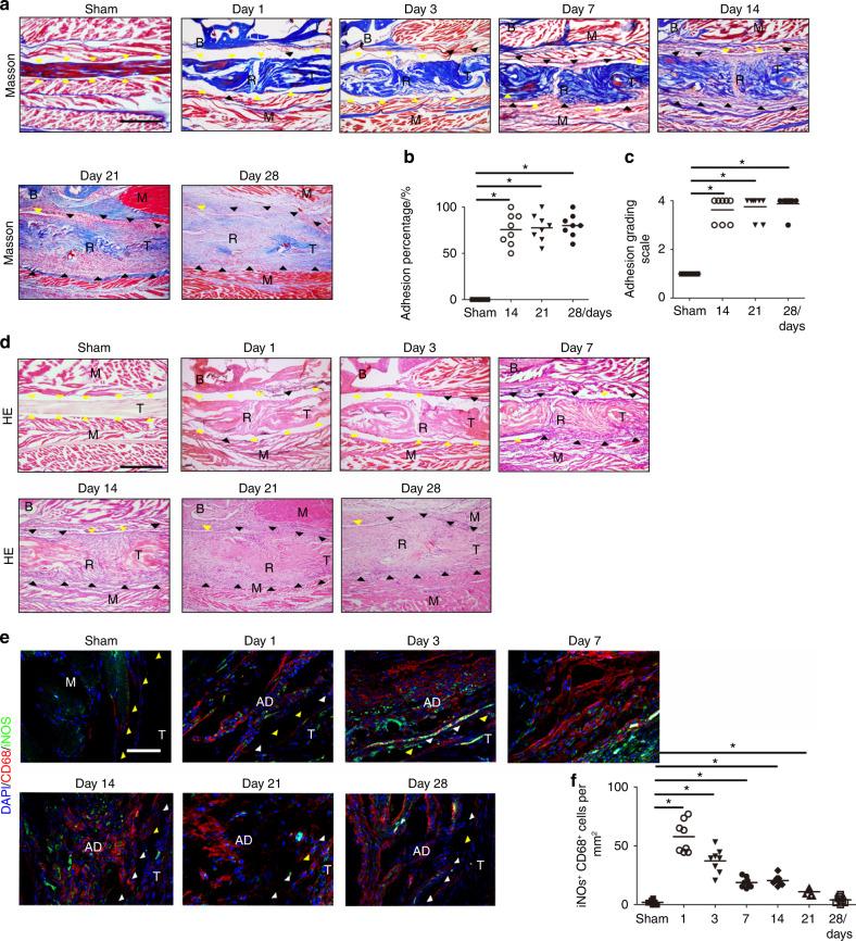 https://cdn.ncbi.nlm.nih.gov/pmc/blobs/5dd7/10167238/73f99498f738/41413_2023_252_Fig3_HTML.jpg