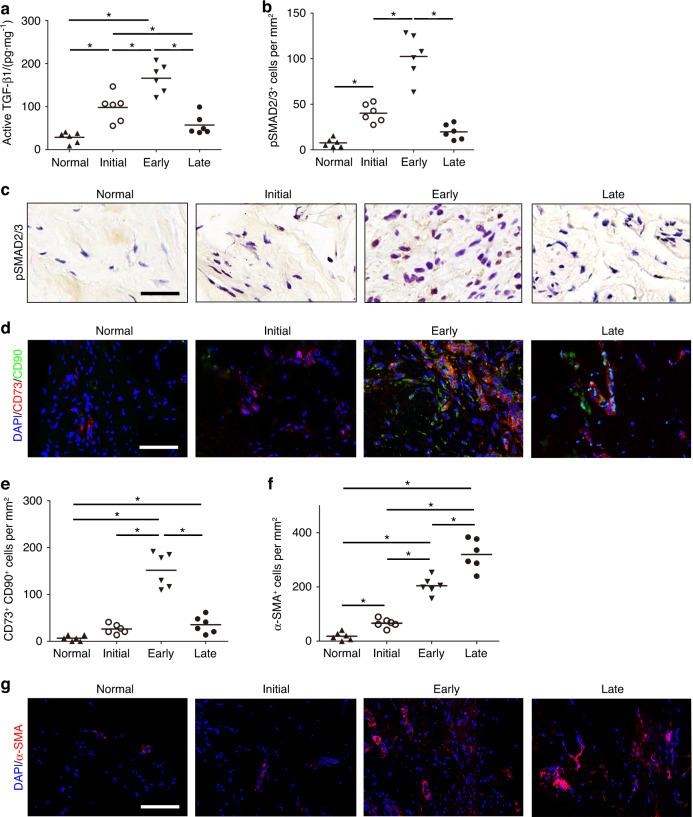 https://cdn.ncbi.nlm.nih.gov/pmc/blobs/5dd7/10167238/7889ee5cc9f3/41413_2023_252_Fig2_HTML.jpg