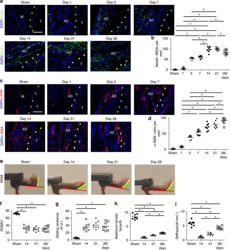 https://cdn.ncbi.nlm.nih.gov/pmc/blobs/5dd7/10167238/9ac3bd850f10/41413_2023_252_Fig5_HTML.jpg
