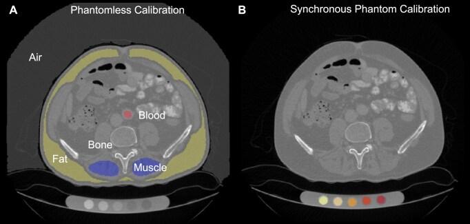 https://cdn.ncbi.nlm.nih.gov/pmc/blobs/5dd8/12395960/d17067cd569d/giaf094fig2.jpg