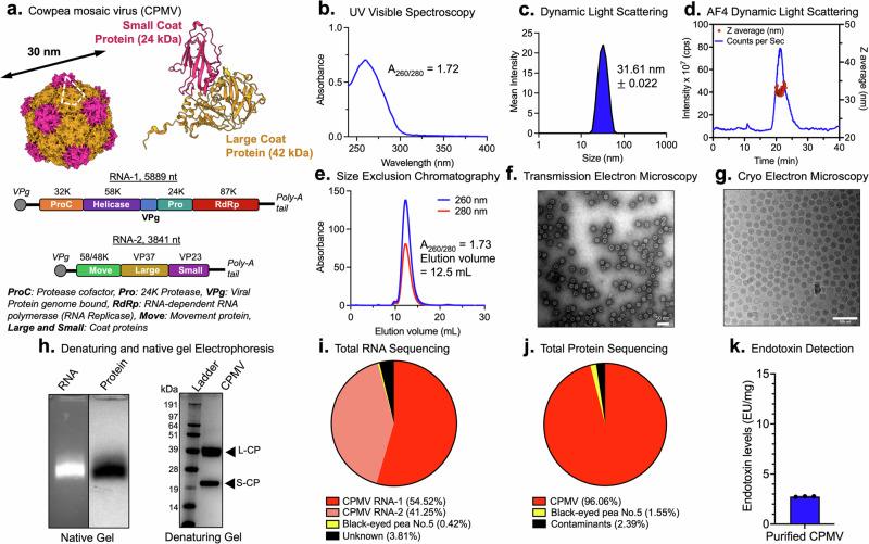 https://cdn.ncbi.nlm.nih.gov/pmc/blobs/5dda/11499861/af608d95aaca/42003_2024_6982_Fig1_HTML.jpg