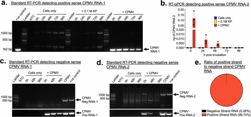 https://cdn.ncbi.nlm.nih.gov/pmc/blobs/5dda/11499861/d97bff1e9a8a/42003_2024_6982_Fig5_HTML.jpg