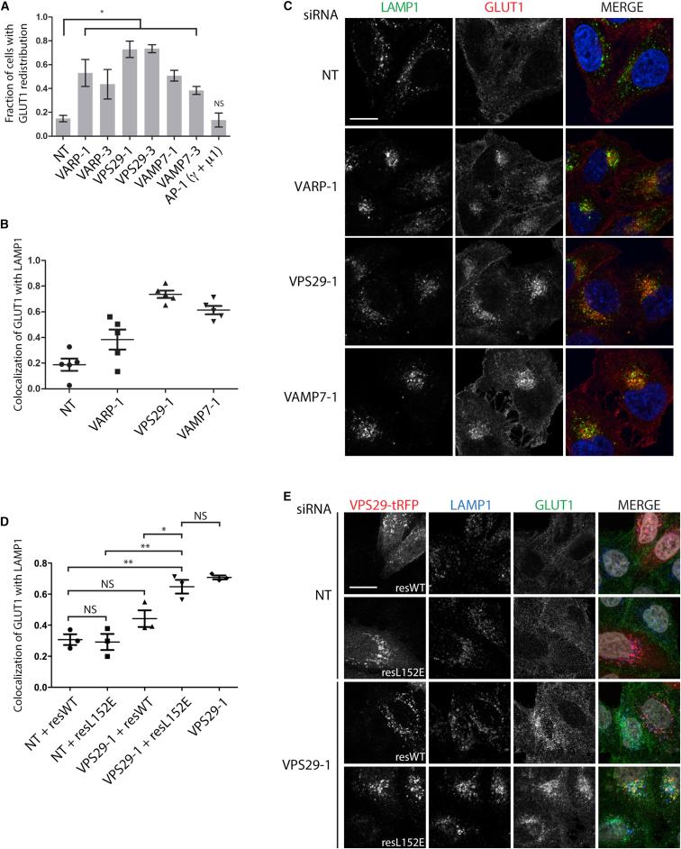 https://cdn.ncbi.nlm.nih.gov/pmc/blobs/5ddd/4059916/09ba0f098fb7/gr6.jpg
