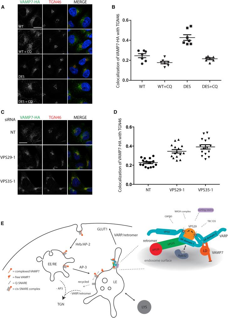 https://cdn.ncbi.nlm.nih.gov/pmc/blobs/5ddd/4059916/70c1af56db27/gr7.jpg